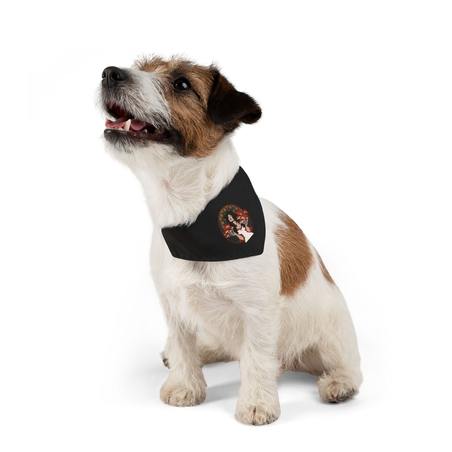 Bandana Collar - The Mystique of Mycelium Logo - Alt Rock Band Leadership Class