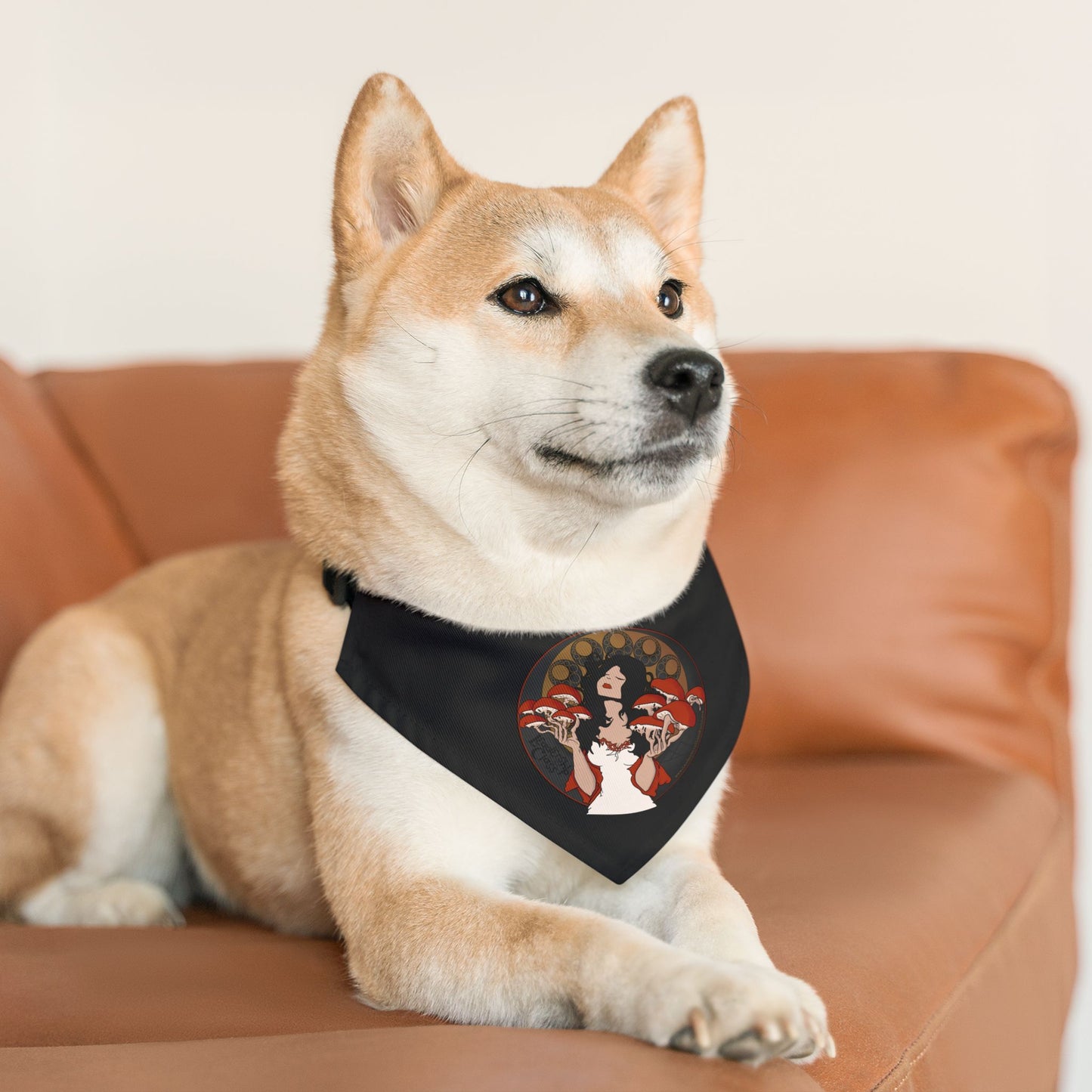 Bandana Collar - The Mystique of Mycelium Logo - Alt Rock Band Leadership Class