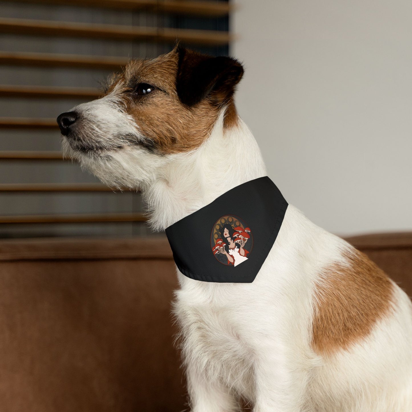 Bandana Collar - The Mystique of Mycelium Logo - Alt Rock Band Leadership Class