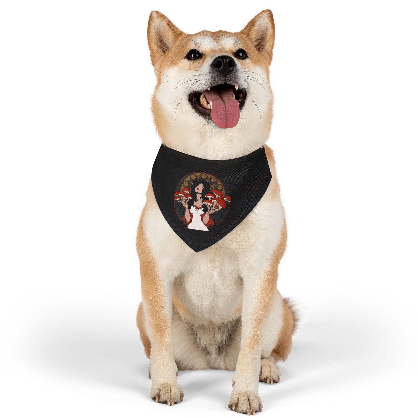 Bandana Collar - The Mystique of Mycelium Logo - Alt Rock Band Leadership Class