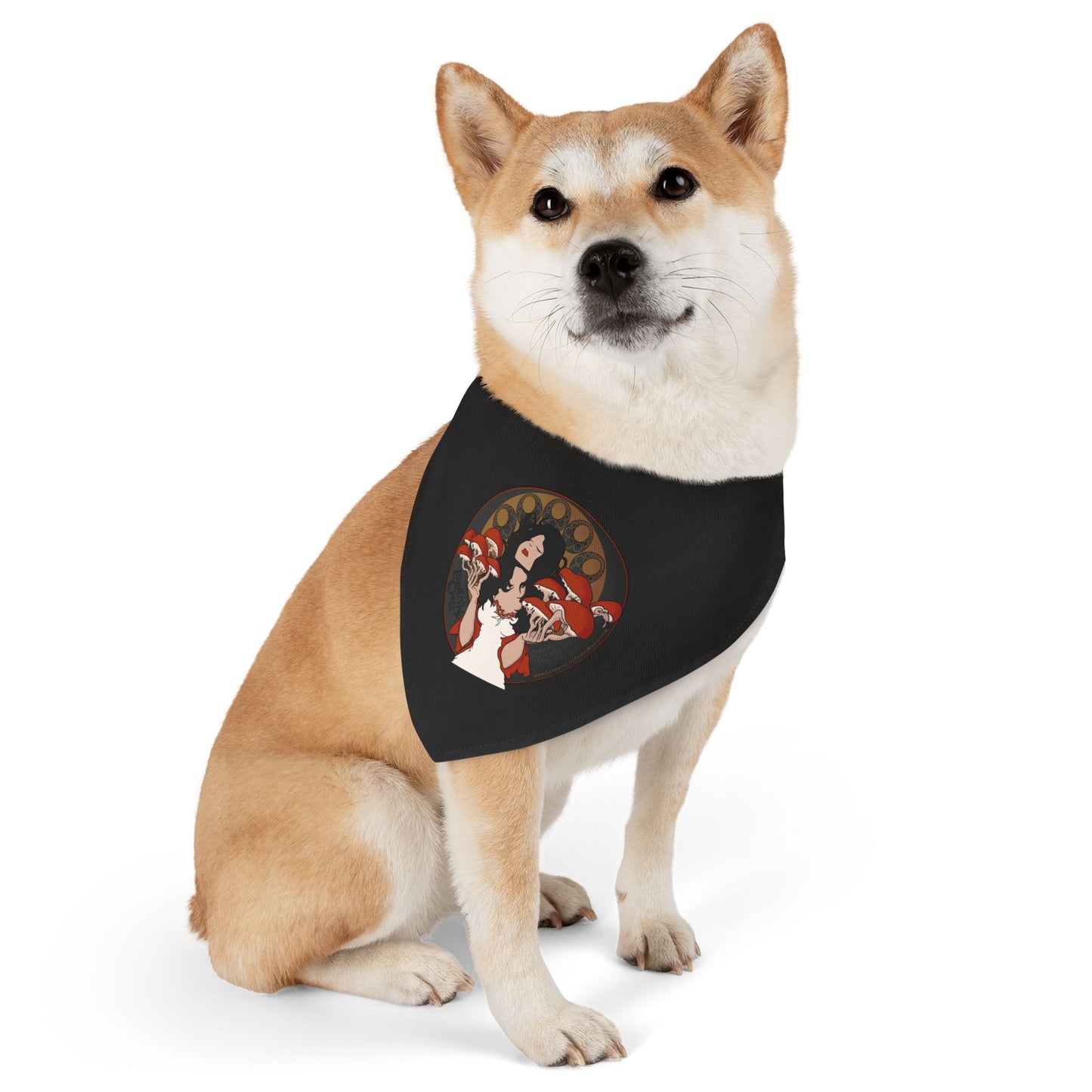 Bandana Collar - The Mystique of Mycelium Logo - Alt Rock Band Leadership Class