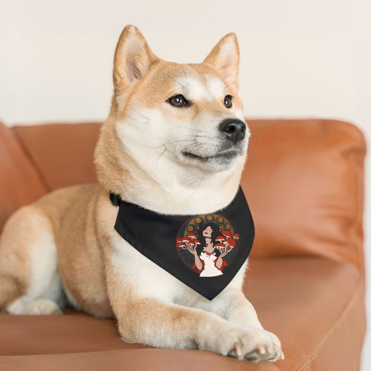 Bandana Collar - The Mystique of Mycelium Logo - Alt Rock Band Leadership Class